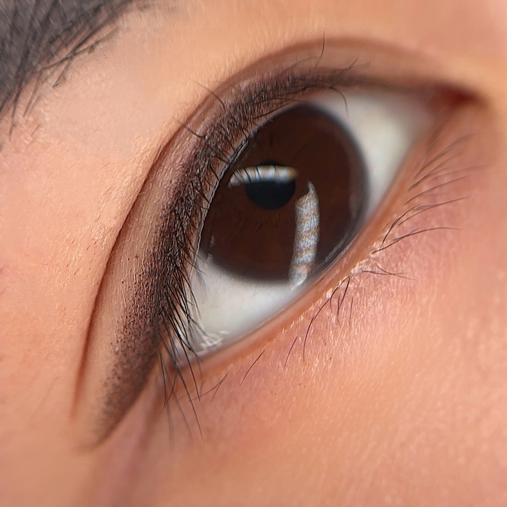 Home page(图18) Shadow Liner